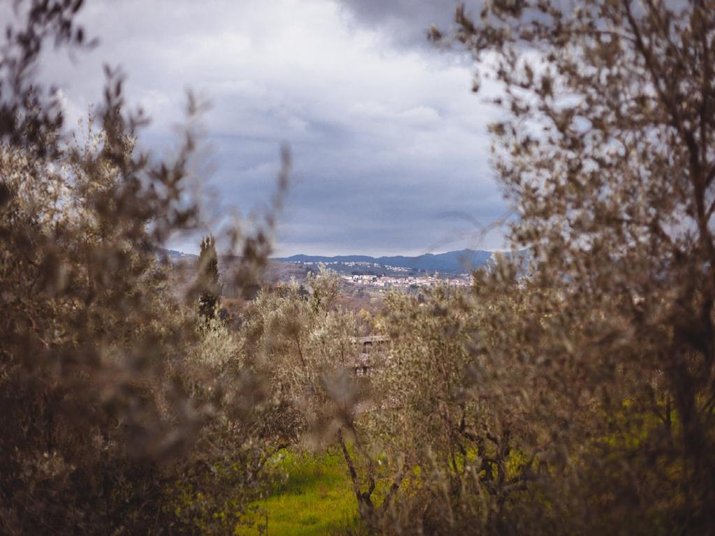 Agriturismo La Collina Toscana Pieve a Maiano Exterior foto